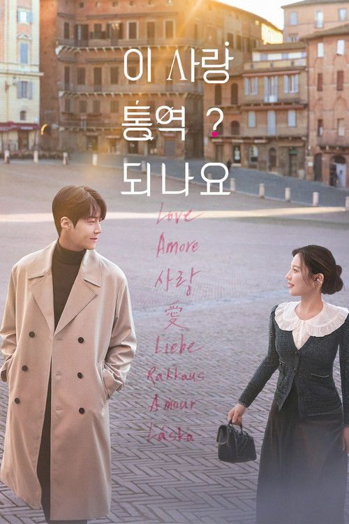 이 사랑 통역 되나요? 포스터